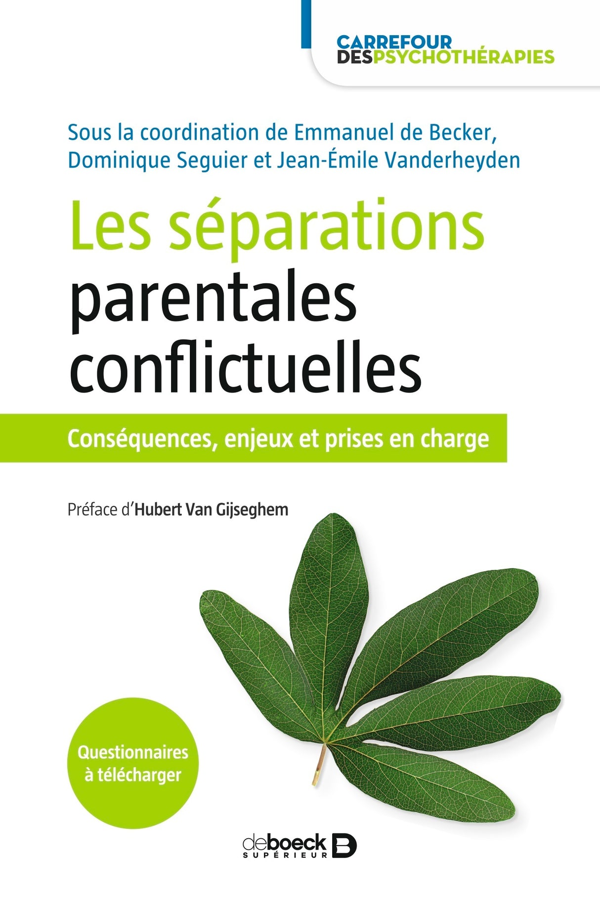 Livre Les séparations parentales conflictuelles